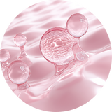 Hydrolyzed Collagen
